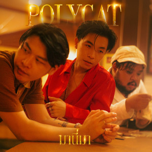 Listen to มานี่มา song with lyrics from Polycat