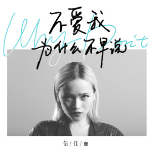 Listen to 不爱我为什么不早说 (伴奏) song with lyrics from 伍佳丽