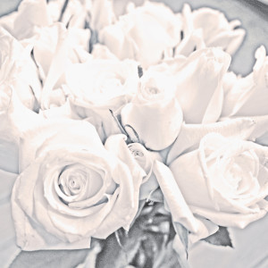 收聽Korallreven的Honey Mine (Memoryhouse Remix)歌詞歌曲