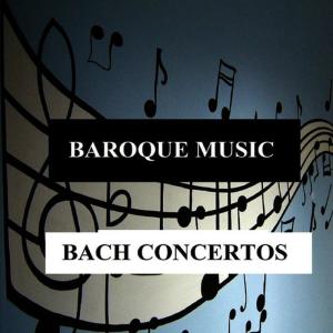 ดาวน์โหลดและฟังเพลง Brandenburg Concerto No. 3 in G Major, BWV 1048: I. Allegro พร้อมเนื้อเพลงจาก Orquesta Lírica de Barcelona