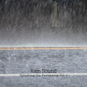 Kids Sleep Raining的專輯Rain Sound: Splashing the Pavements Vol. 1