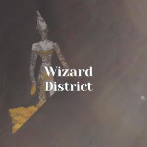 ดาวน์โหลดและฟังเพลง Wizard District พร้อมเนื้อเพลงจาก Maryla Bhoy