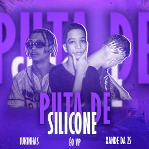 ดาวน์โหลดและฟังเพลง Puta de Silicone (Explicit) พร้อมเนื้อเพลงจาก É o VP