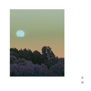 收听로하的처음歌词歌曲