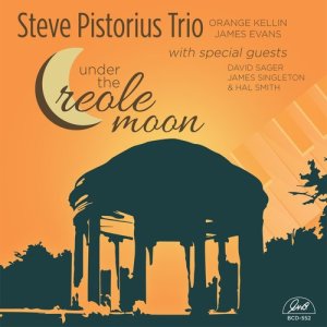 收聽Steve Pistorius Trio的You Belong to My Heart歌詞歌曲