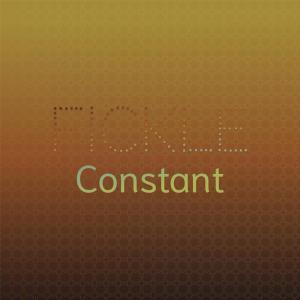 Various Artists的專輯Fickle Constant