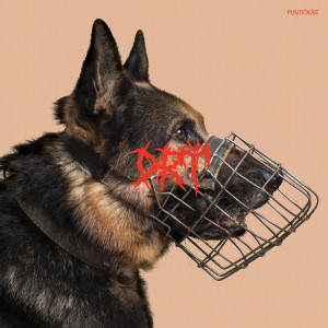 Listen to Dôvera song with lyrics from DRT