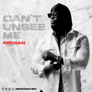 Album CAN'T UNSEE ME oleh Redsan