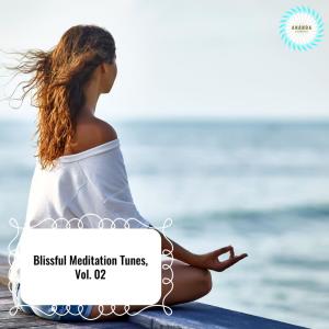 Listen to Soulful Temple Mornings song with lyrics from Allison Druzik