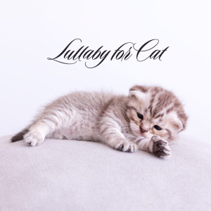 Album Lullaby for Cat (Gentle Music for Stress and Sleep) from Pet Music Academy