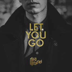 收聽Milo Meskens的Let You Go歌詞歌曲