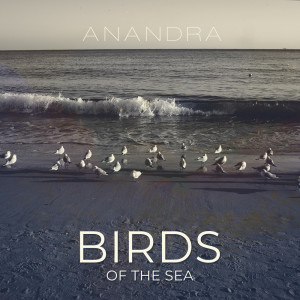 Anandra的专辑Birds of the Sea