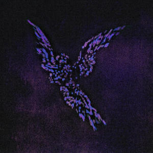 default album img