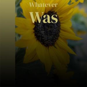 Various的专辑Whatever Was