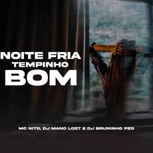 收聽Dj Bruninho Pzs的Noite Fria, Tempinho Bom (Explicit)歌詞歌曲