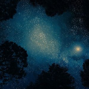 Dengarkan To the Moon lagu dari Yoga Workout Music dengan lirik