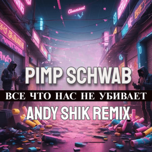 Album Все что нас не убивает (andy shik remix) from Pimp Schwab