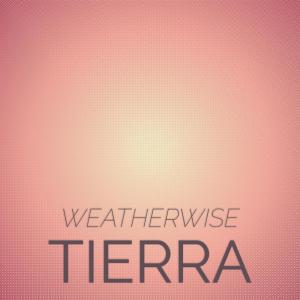 Listen to Plaisir Conroy song with lyrics from Derling Tano