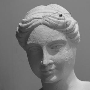 xkewuh的專輯WILD_SPIDEY (Explicit)