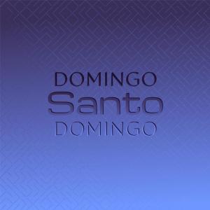 收聽Hula Hawaiian Quartett的Domingo Santo Domingo歌詞歌曲