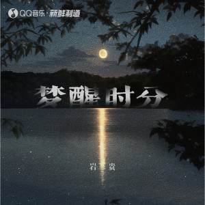 Listen to 梦醒时分 song with lyrics from 岩贵