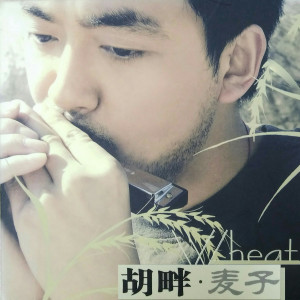 收聽胡畔的面朝大海春暖花開歌詞歌曲