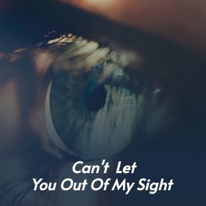 Listen to Annie Lee Blues song with lyrics from Robert Nighthawk