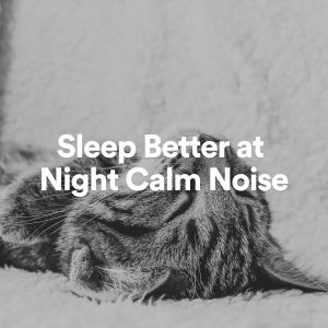 Sleep Better at Night Calm Noise dari Brown Noise Baby
