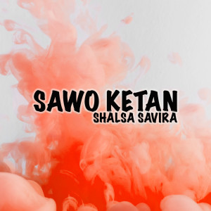 Dengarkan Sawo Ketan lagu dari Shalsa Savira dengan lirik