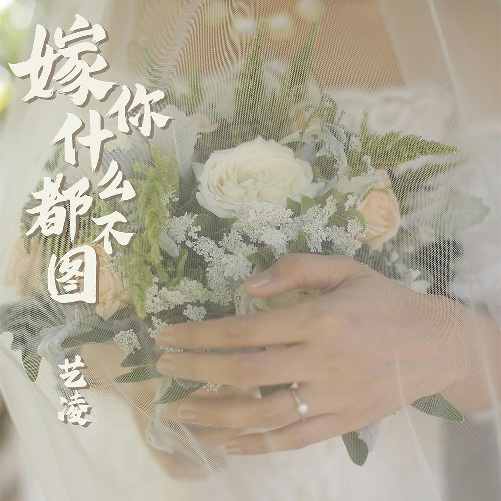 嫁你什么都不图
