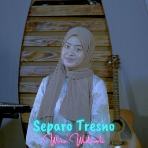 Dengarkan Separo Tresno lagu dari Woro Widowati dengan lirik