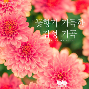 Dengarkan lagu 봄 꽃 Spring Flowers nyanyian Kim Dae wung dengan lirik