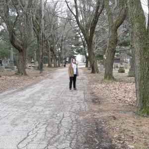 收听Flipcoin的Hey Shannon, The Sun's Up歌词歌曲