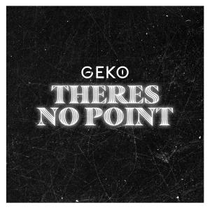 Album Theres No Point (Explicit) oleh Geko