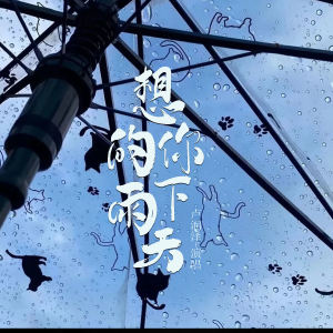 Album 想你的下雨天 from 卢润泽