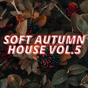 Album Soft Autumn House Vol.5 from Various