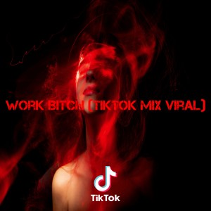 Dengarkan Work Bitch (TikTok Mix Viral) lagu dari Dj TikTok Viral dengan lirik