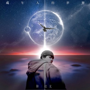อัลบัม 成年人的世界 ศิลปิน 仰昭光