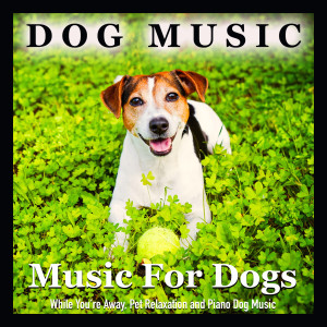 收聽Dog Music的Dog Music (Music for Your Dog)歌詞歌曲