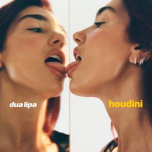 Dua Lipa的專輯Houdini