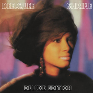 ดาวน์โหลดและฟังเพลง See the Day พร้อมเนื้อเพลงจาก Dee C. Lee