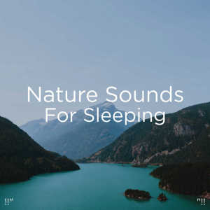 Yoga的专辑!!" Nature Sounds For Sleeping "!!
