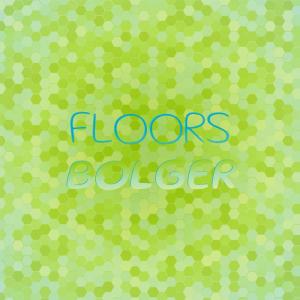 Various的专辑Floors Bolger