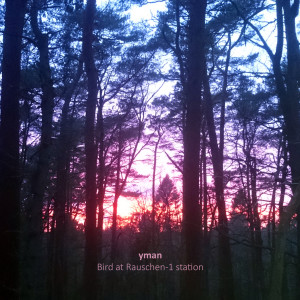 Listen to Bird at Rauschen-1 Station song with lyrics from YMAN