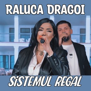 Listen to Sistemul Regal (Live) song with lyrics from Raluca Dragoi