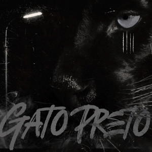 Listen to GATO PRETO (Explicit) song with lyrics from Diggo