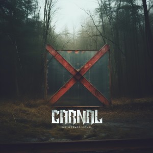 Carnal的專輯Do Utraty Tchu
