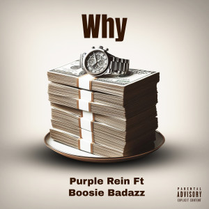 Album Why (Explicit) from Purple Rein