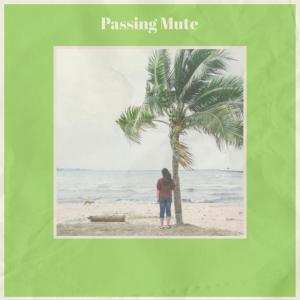 Album Passing Mute from Nann Morgann