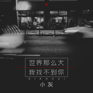Listen to 世界那么大我找不到你 song with lyrics from 小灰